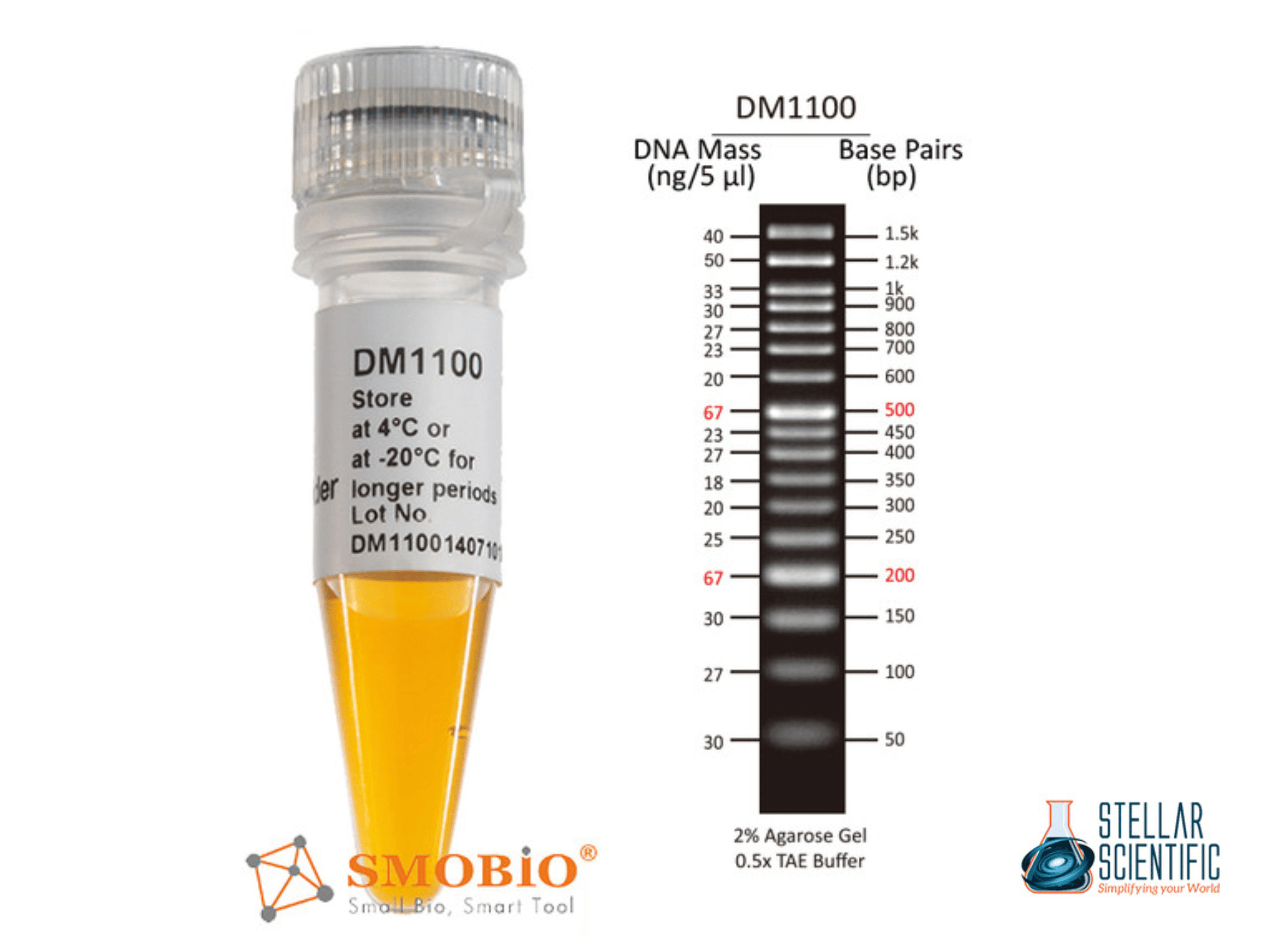 excelband-50-bp-dna-ladder-500-ul.png